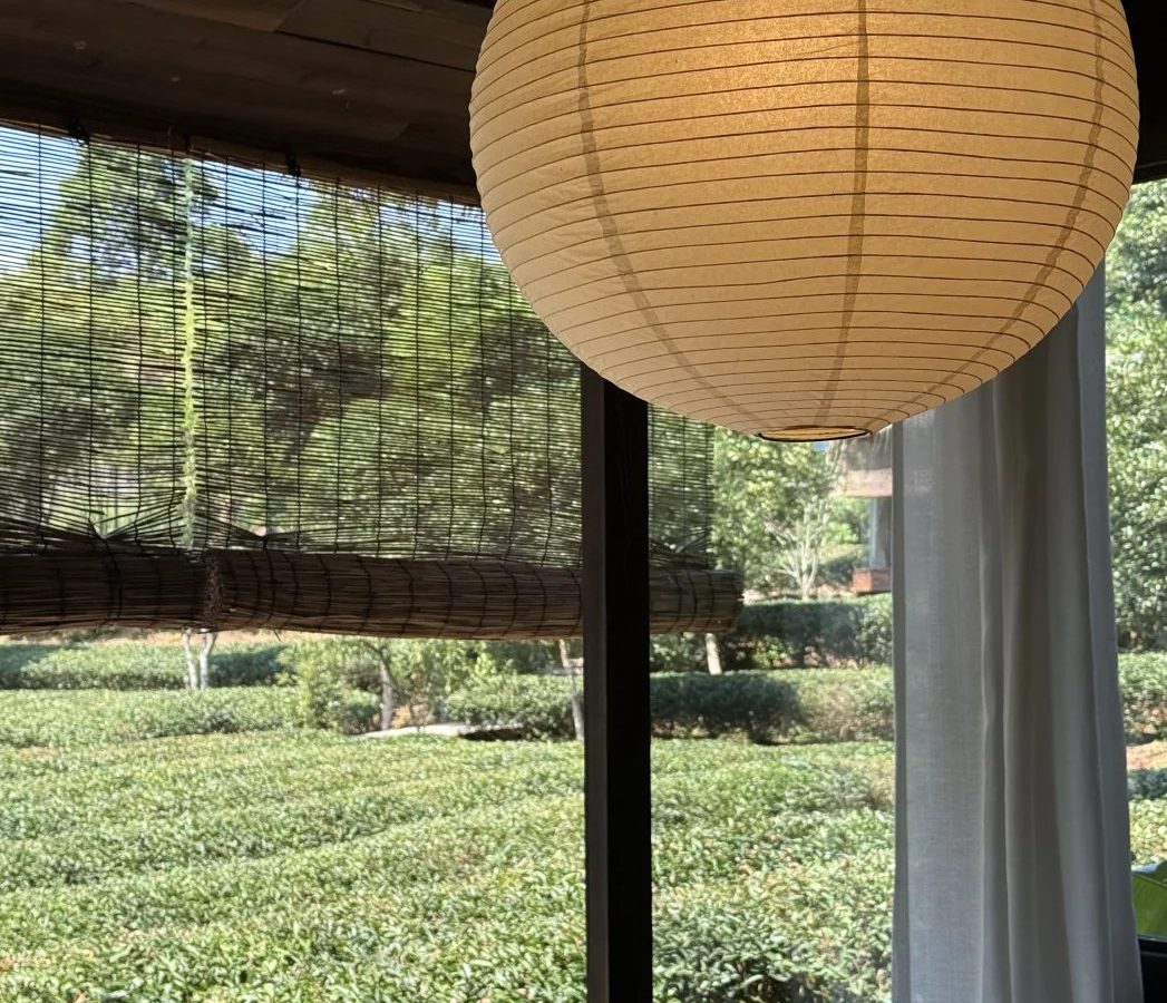 茶具怎么清洁 · 国际生活场景