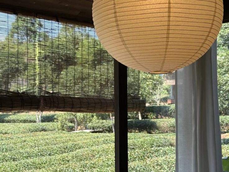 茶具怎么清洁 · 国际生活场景
