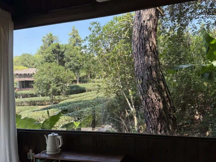 公道杯怎么用 · 国际生活场景
