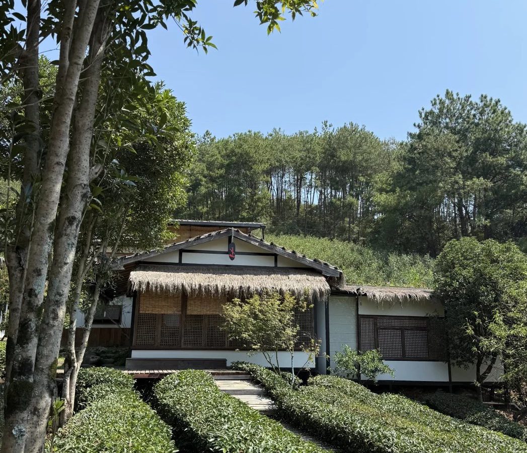 投茶量怎么定 · 国际生活场景