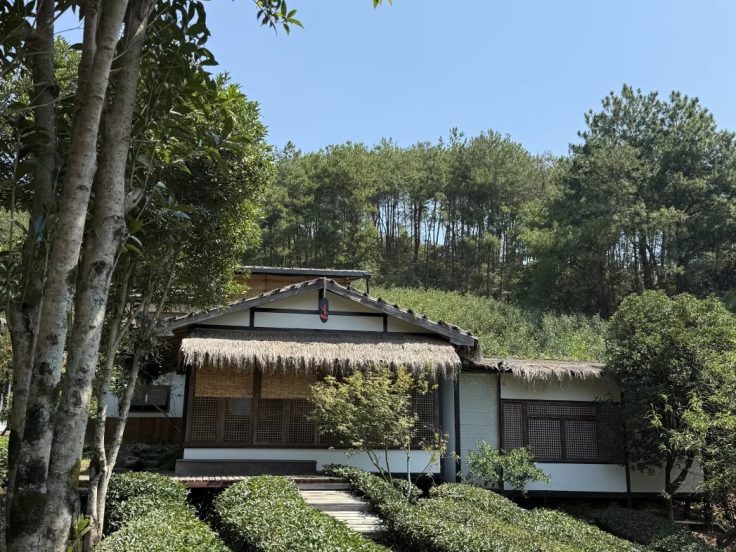 投茶量怎么定 · 国际生活场景