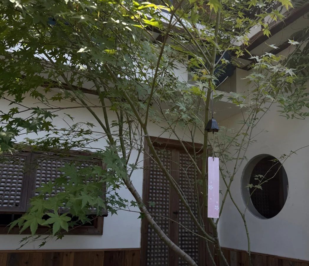 醒茶是什么 · 国际生活场景