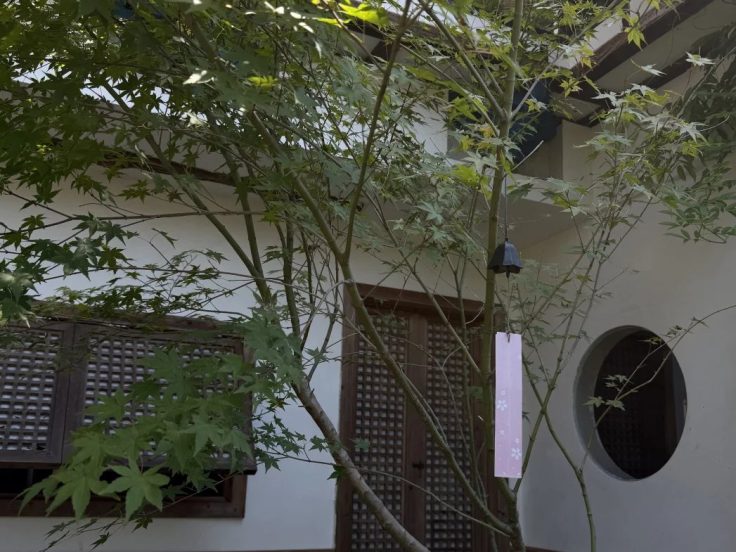 醒茶是什么 · 国际生活场景
