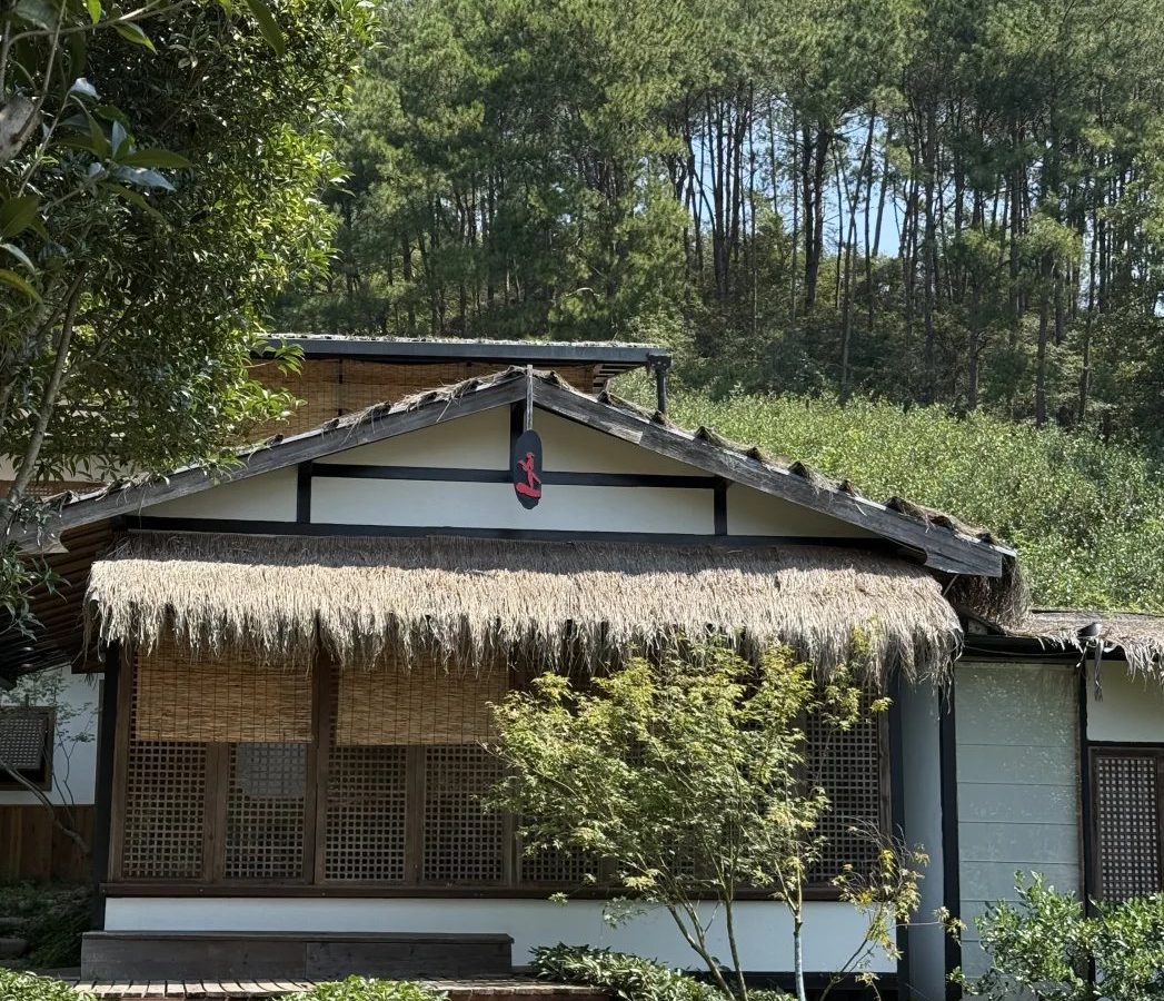 闵行区茶室分布 · 国际生活场景