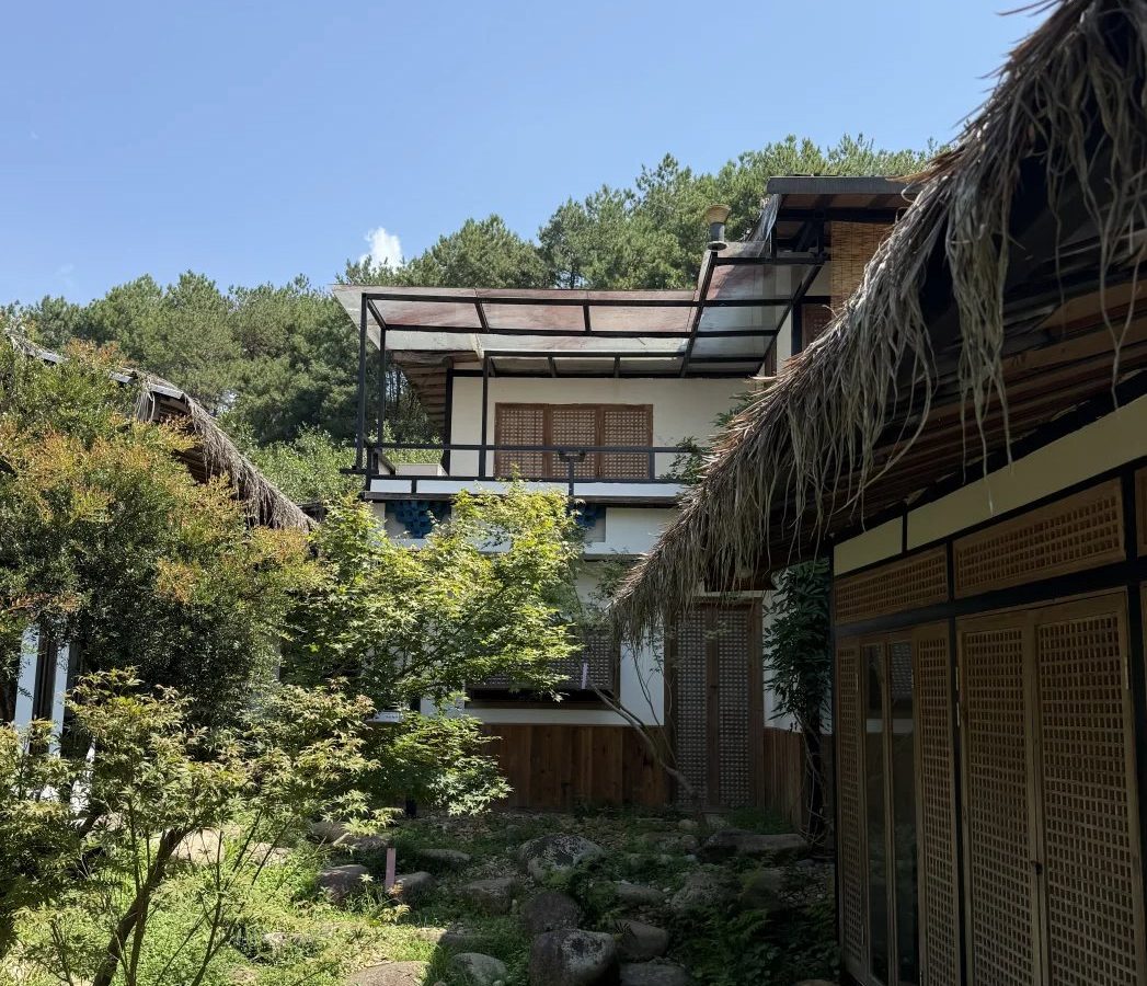 嘉定区茶室分布 · 国际生活场景
