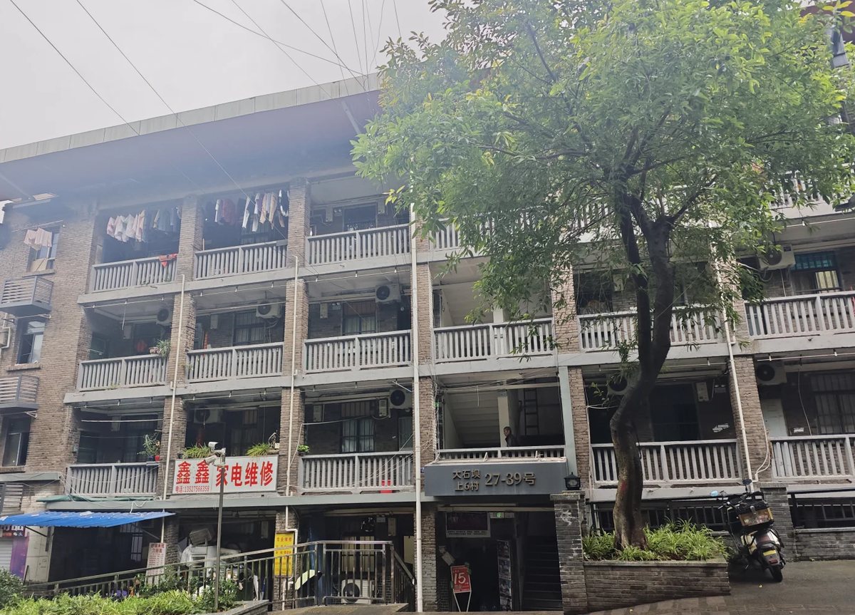 春天喝什么茶 · 国际生活场景