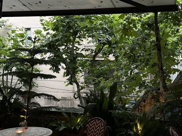 茶室常见问题十条 · 国际生活场景